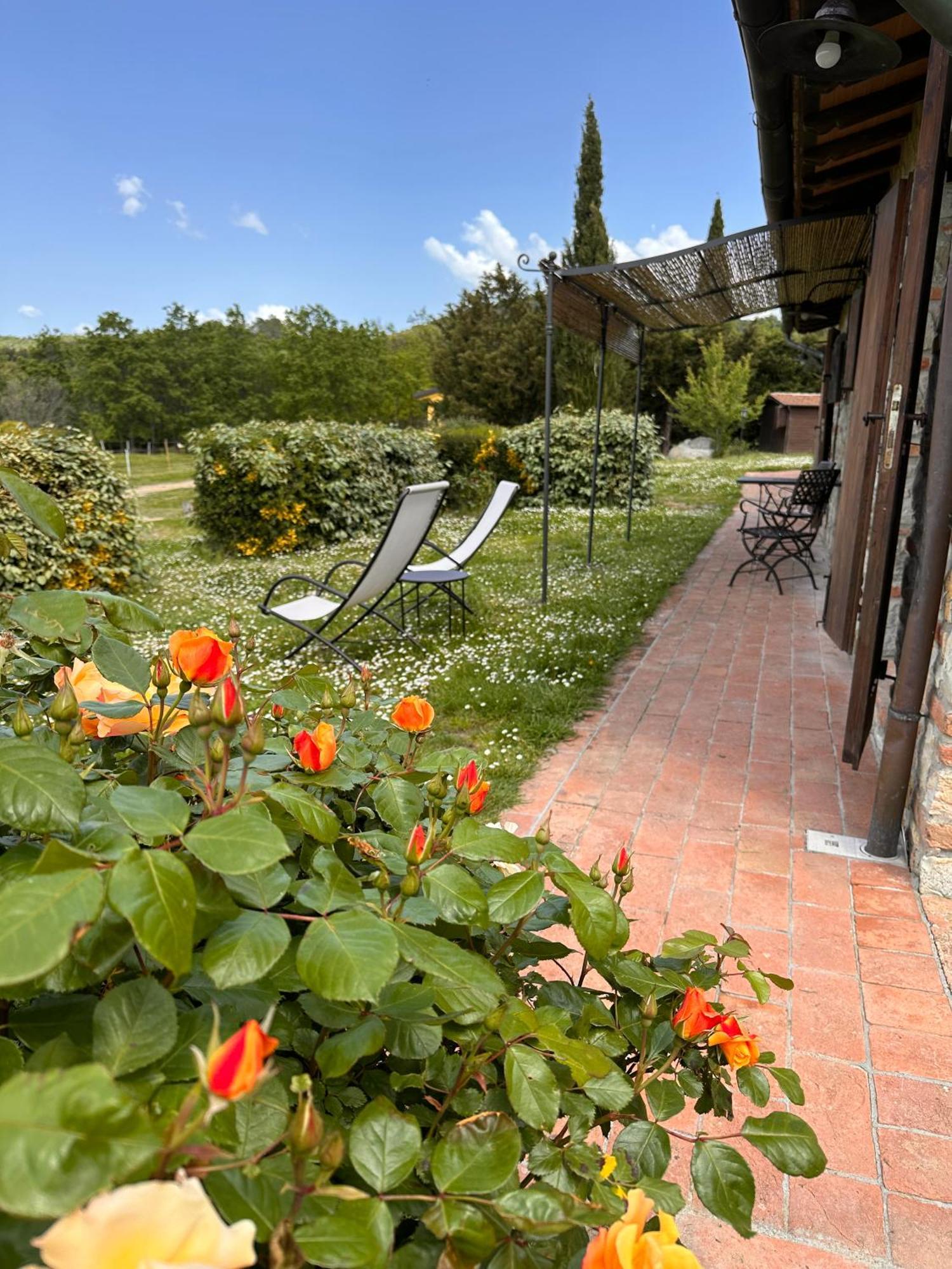 La Vitaverde Agriturismo Santa Luce Exterior photo